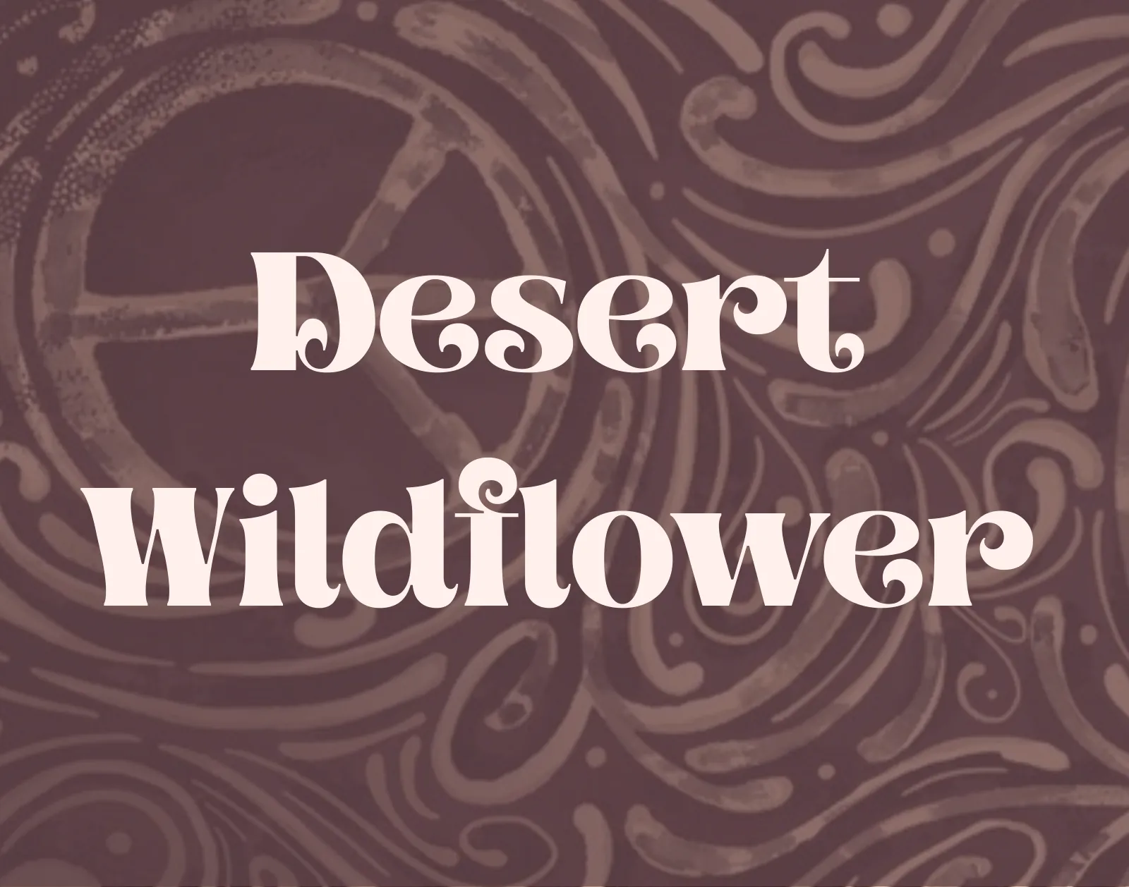 Title page: Desert Wildflower