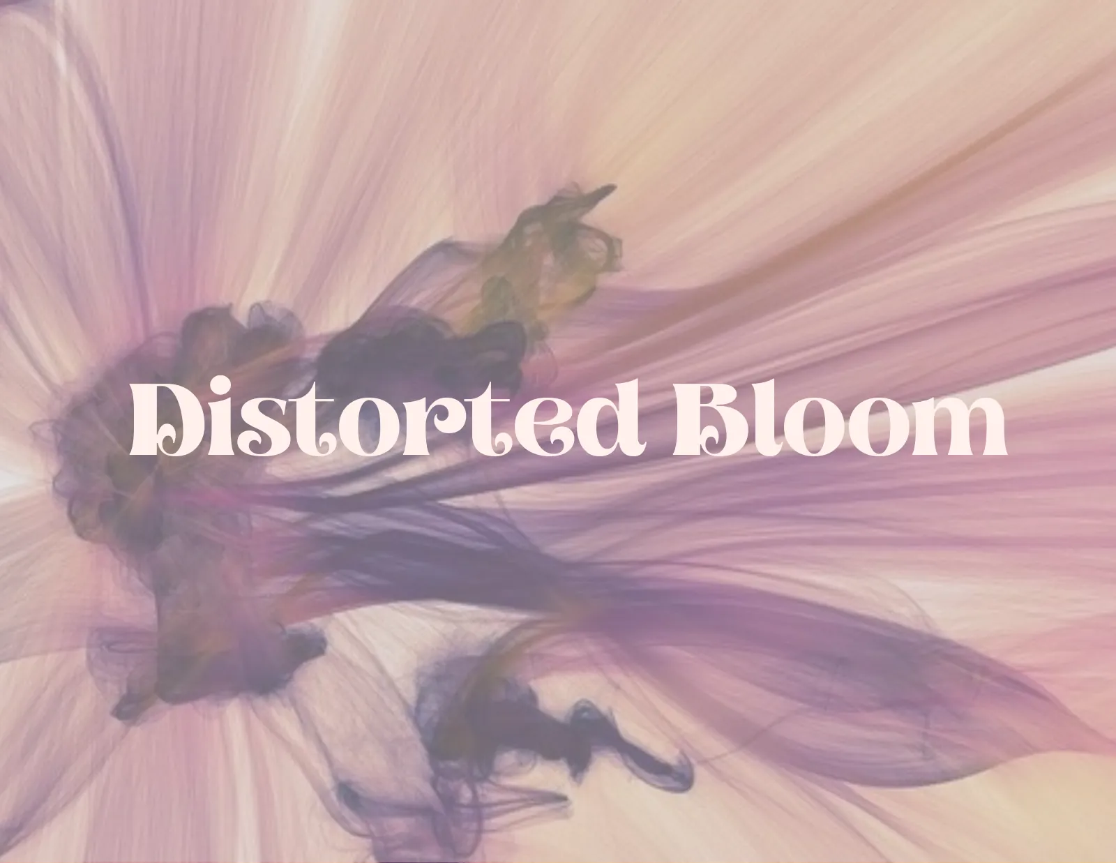 Title page: Distorted Bloom over a blurred pink flower