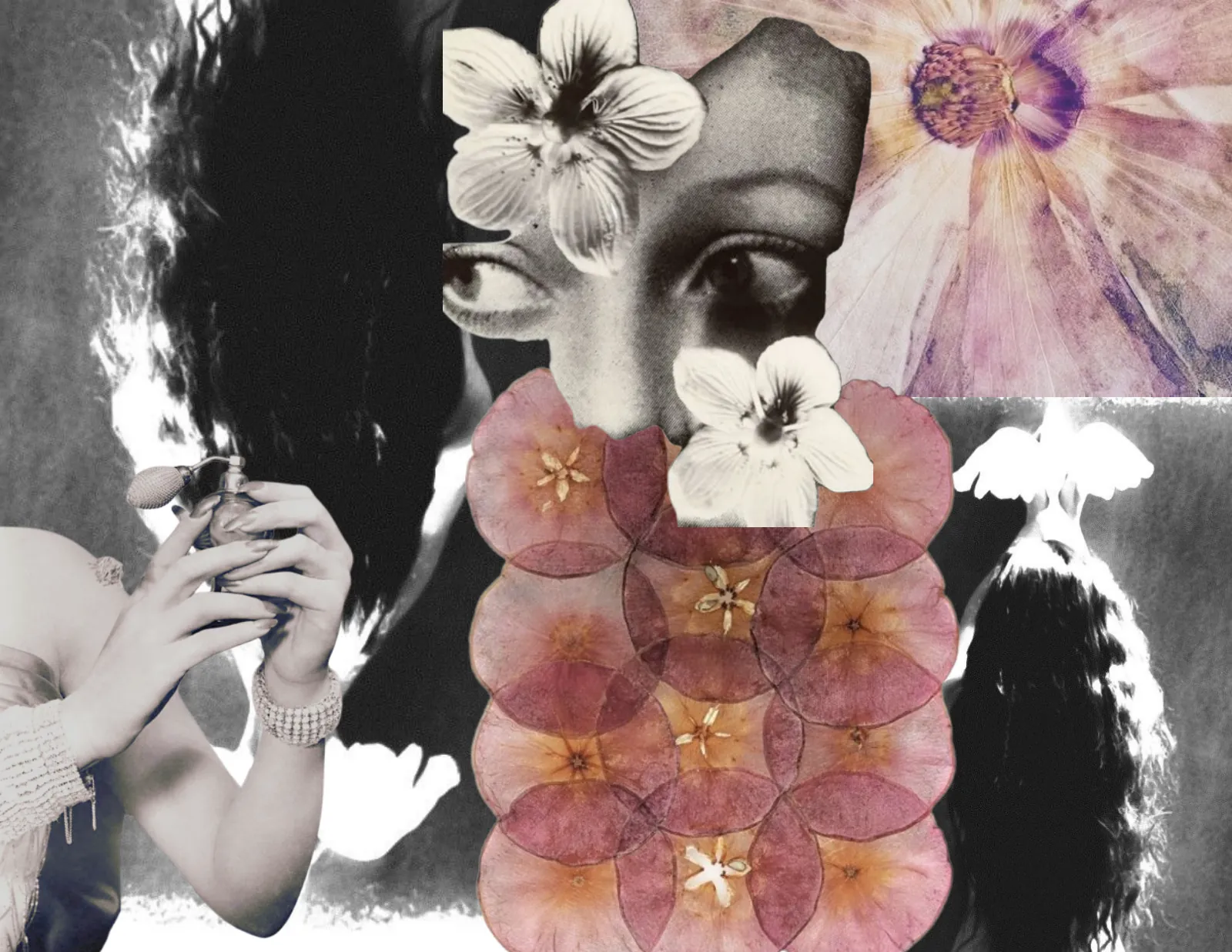 Collage of a woman's face, pressed flowers and soft pink petals