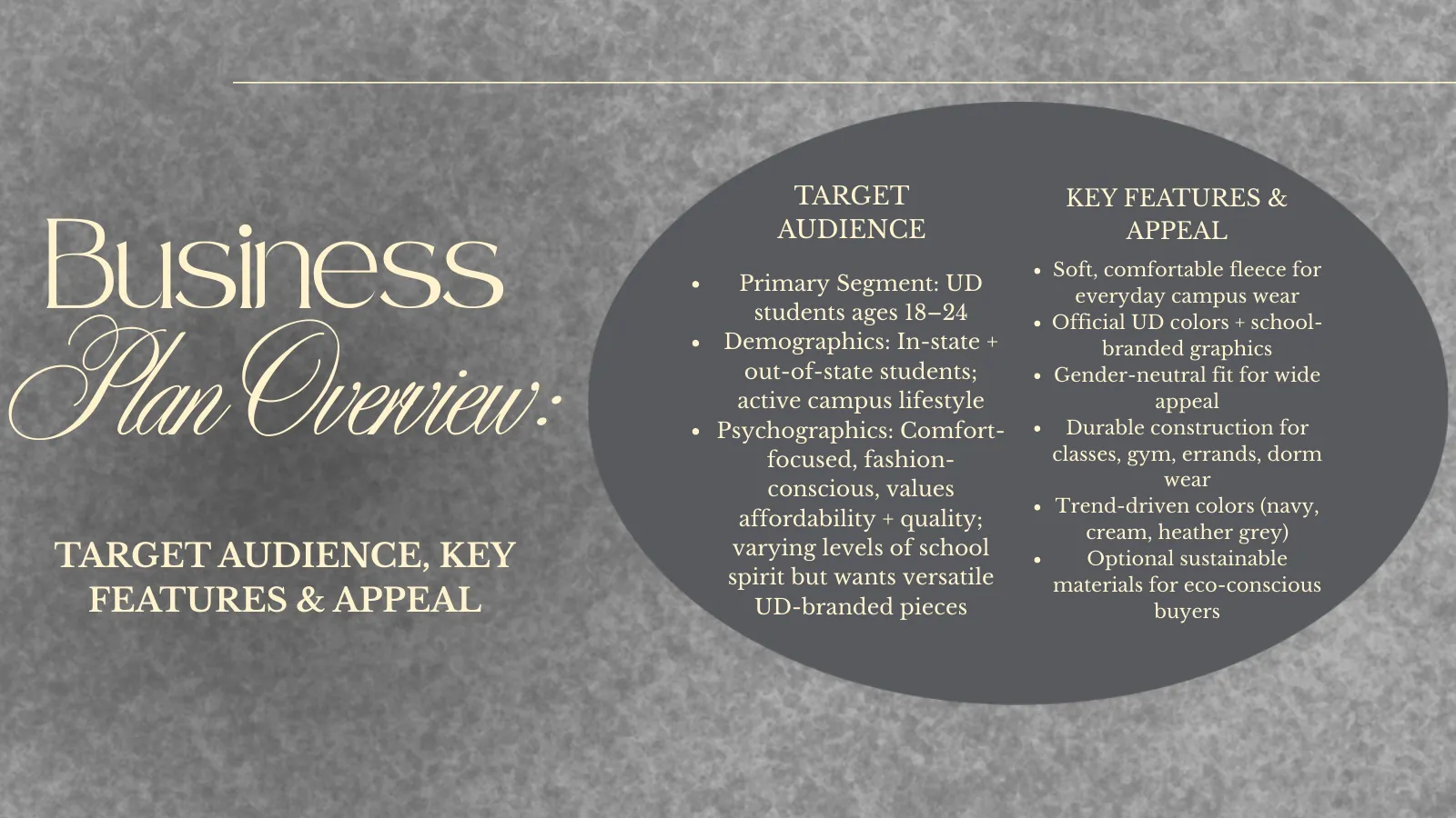 Business plan: target audience, key features and appeal